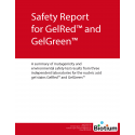GelRed - Relatório de Segurança