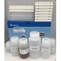 Kit de purificação de RNA viral “Mgpure Viral RNA Purification Kit 20x96” en microplacas de 96