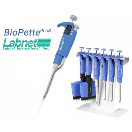 Soporte lineal para 6 pipetas