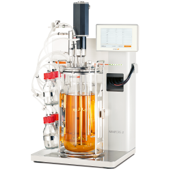 Fermentador Minifors 2,5 L. Bacterias