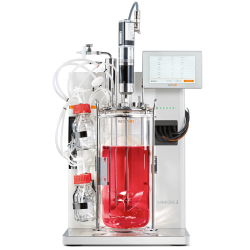 Fermentador Minifors 2,5 L. Bacterias