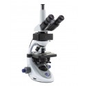 Microscópio Fluorescência LED Trinocular, 1000x, IOS. “SERIE B-290”