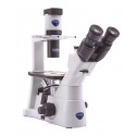 Microscopio Trinocular invertida, 400x “SERIE IM-3”