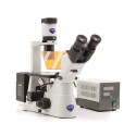 Microscópio de fluorescência HBO Trinocular invertido, 400x SÉRIE IM-3”