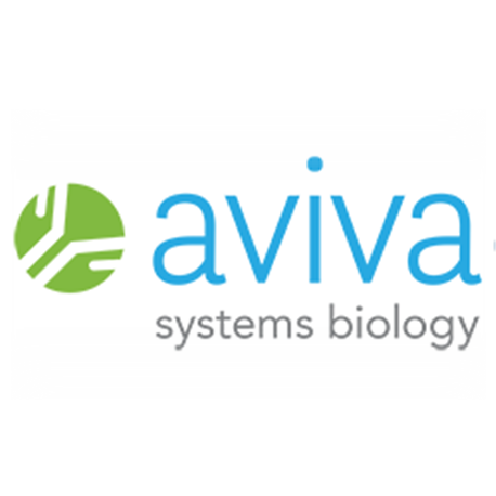 Evx2 Peptide - N-terminal region