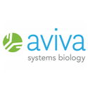 Evx2 Peptide - N-terminal region