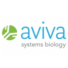Recombinant Zika Virus (ZIKV-Env) Antigen