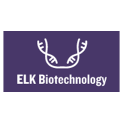 Human SARS-CoV-2 Nucleocapsid ELISA Kit