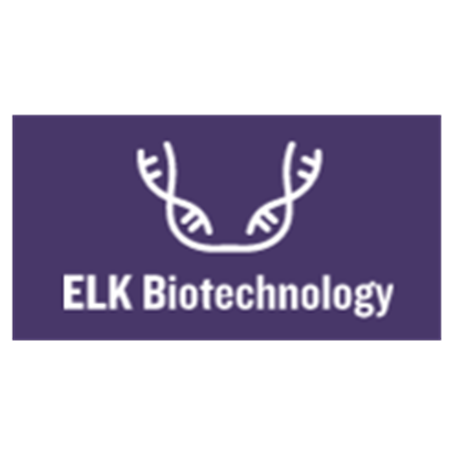 EasyStep Human CRP(C Reactive Protein) ELISA Kit