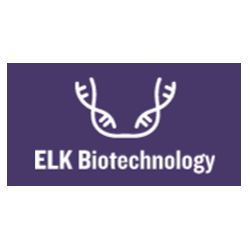 Human HBP(Heparin-Binding Protein) ELISA Kit