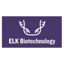 Human BCAT1(Branched-chain-amino-acid aminotransferase, cytosolic) ELISA Kit
