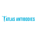 Anti-RSPO2 Antibody 25ul