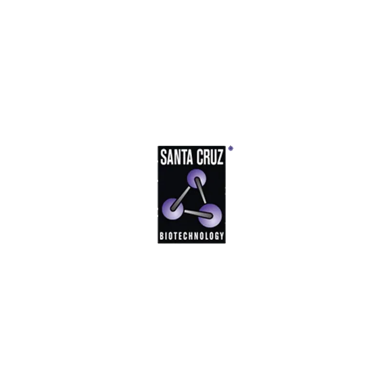IκB-α (1-317)