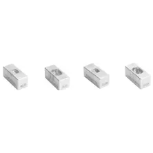 Matriz de coração de ratinho/ratazana neonatal (20-75gr). Coronal. Espessura: 0,5 mm.