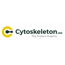 Cell Permeable Rho Inhibitor (C3 Trans based))