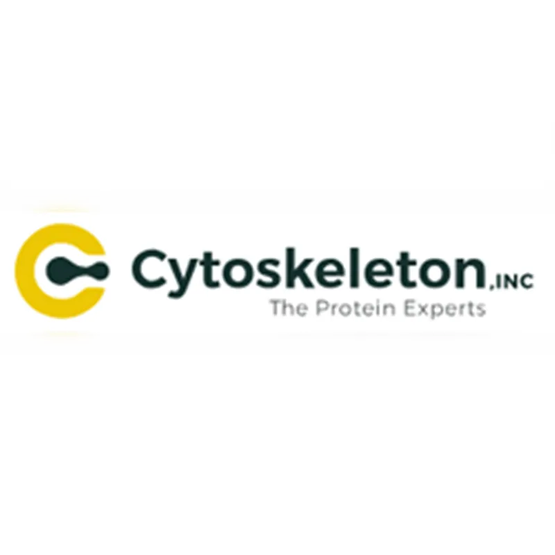 Rhotekin RBD protein GST fusion