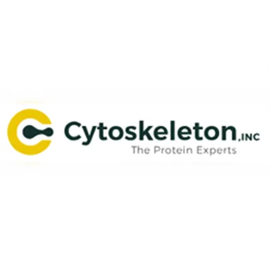 Rhotekin RBD protein GST fusion