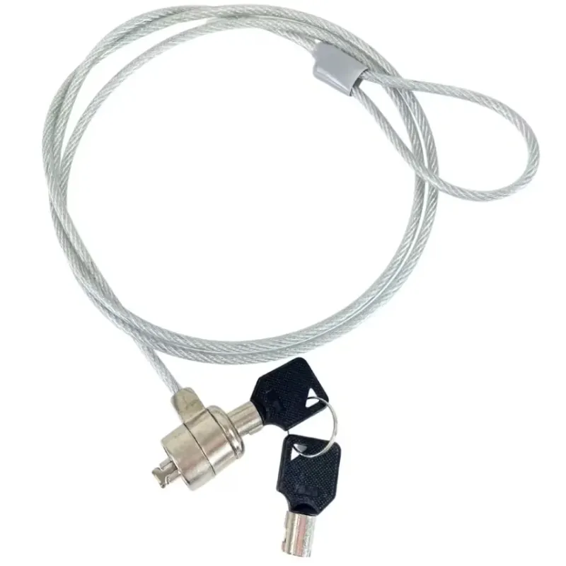 Security lock and cable