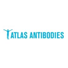 Balanza De Precisión “POLARIS - PTB4602e”