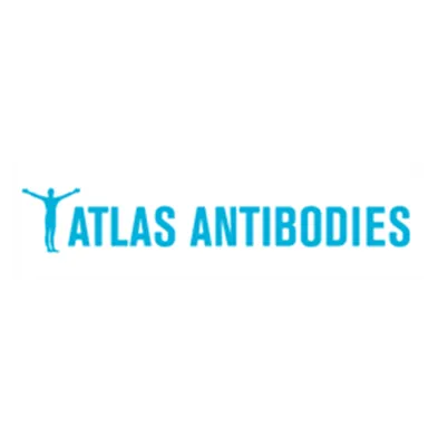 Balanza De Precisión “POLARIS - PTB4602e”