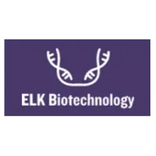 pMIR-REPORT Luciferase