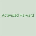 Actividad Harvard