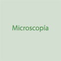 Microscopia