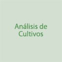 Analisis de cultivos