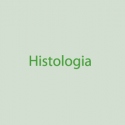 Histología