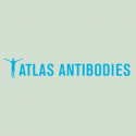ATLAS ANTIBODIES