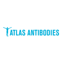 Otros Atlas Antibodies