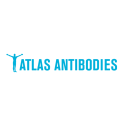 Outros Atlas Antibodies