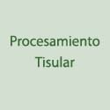 PROCESAMIENTO TISULAR