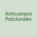 Anticuerpos Policlonales
