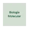 Molecular