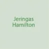 Jeringas Hamilton