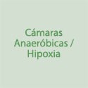 Camaras Anaerobicas/Hipoxia