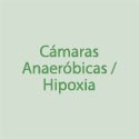 Câmaras Anaeróbicas/Hipoxia