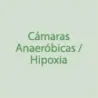 Camaras Anaerobicas/Hipoxia