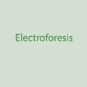 Electroforesis