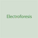 Eletroforese