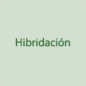 Hibridação